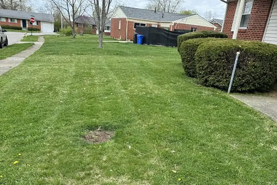 Reliable Landscaping Contractor in Paris, KY Reliable Landscaping Contractor in Paris, KY